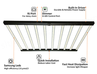 Lampe de culture LED Lm301h Evo Lm281b, longueur de couverture de 170 cm à 180 cm, 5x8 lampes de culture, 1000W AC, Brésil, États-Unis, local