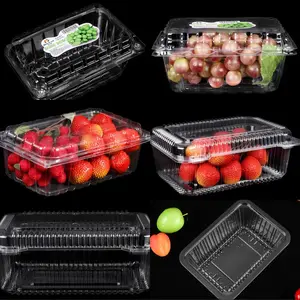 Disposable PET Clear Plastic Packaging Box Fresh Fruit Container Clamshell Clear Vegetable Packaging Box Plastic 500G 1000G