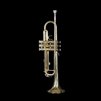 Wholesale Professional Performance Lowest Price New Phosphor Bronze Bb Trumpet for Beginners
