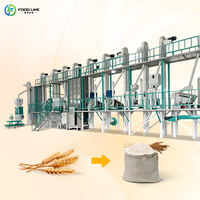Ligne de production de farine de maïs automatique Foodline 30t/jour haute précision 380V directement de l'usine