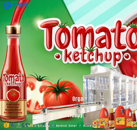 Fabrikant Automatische Kleinschalige Tomatenpuree Verwerkingsmachine Tomatensaus Puree Productielijn Kleine Machines Voor Jam