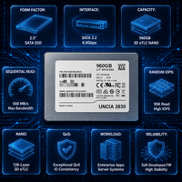 960GB RSYE3839B 2.5 Inch SATA SSD Server Hot Swap Enterprise Kapasitas Tinggi Teruji untuk Pusat Data