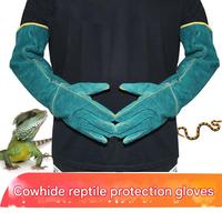 Vente chaude en France Gants de protection renforcés anti-morsures pour la manipulation des animaux serpent et reptile animaux reptiles et amphibiens