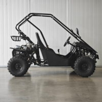 Kart électrique 800w, buggy électrique, karting