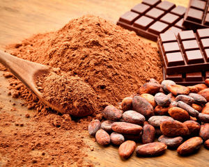 Polvo de cacao orgánico, marrón oscuro, alcalino puro, contenido de grasa, 10-12%, sin carcasa - Product Image 2