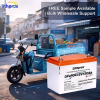 Batterie de scooter à décharge profonde 12V120AH 1.44KWh LiFePO4 de qualité automobile, haute densité énergétique, conception compacte pour la mobilité pliable