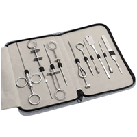 Kit d'aiguilles de canules pour mamelons, 10 pièces, en acier inoxydable 304, certifié CE, instruments chirurgicaux vétérinaires de classe II pour chiens et chevaux