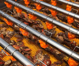 Machine automatique de nettoyage des fruits de mer en acier inoxydable avec moteur pour le nettoyage des moules et des coquilles Saint-Jacques - Product Image 2