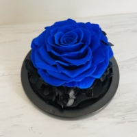 2022 Ins Hot Valentine Groothandel Luxe Gift Bewaard Een Rose Heart Glass Dome Voor Gift
