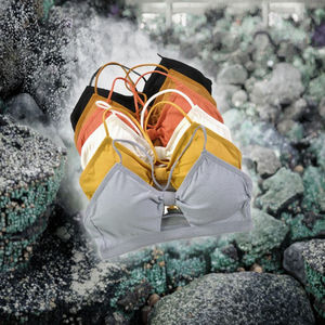 Nuevo Conjunto de Lencería Sexy: Top sin Costuras con Espalda Descubierta y Almohadillas, Sujetador Elástico Push-Up sin Aros y Braguitas - Product Image 3