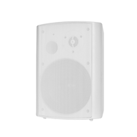 Altavoz de Pared Multiroom con WIFI, BT y Airplay, Sistema de Sonido de 100W para Hoteles, Escuelas y Oficinas