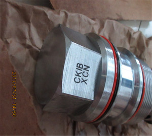 Vérificateur hydraulique d'huile d'origine CKIBXCN - Product Image 3