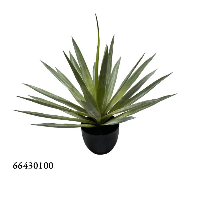 Verde45cm
