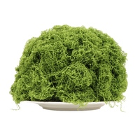 Plante verte artificielle personnalisée DIY décor intérieur bureau jardin mousse mur roches mousse filamenteuse pour Thanksgiving mariage