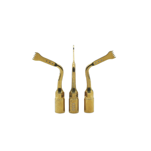 Migliore qualità per il picchio metallo materiale di chirurgia dentale Set impianto osso taglio piezoelettrico <span class=keywords><strong>Scaler</strong></span> terapia orale attrezzature - Product Image 5