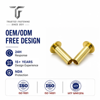 Rivets semi-tubulaires à tête plate en acier de TianFang pour les joints de cadres de signalétique, prototypes d'ingénierie, échantillonnage rapide et directement de l'usine
