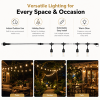 Guirlande lumineuse LED S14 rechargeable et dimmable, ampoule E26/E27, IP65, pour intérieur, fêtes, extérieur, étanche, pour camping, auvent