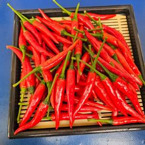 Piment rouge frais en gros Fournisseur d'exportation du Vietnam Piments forts biologiques Fabricant d'épices vertes de haute qualité Marché mondial - Product Image 6