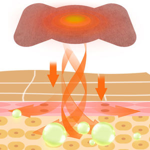 पेट का वजन घटाने का पैच, मुद्रा, लेबल, बड़े पेट के पसीने पैच और शरीर के पैच में सुधार के लिए - Product Image 5