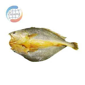 टैसेनग शीर्ष गुणवत्ता ताजा जमे हुए IQF जमे हुए पीले क्रॉकर गैटेड और स्केल्ड क्रॉकर मछली