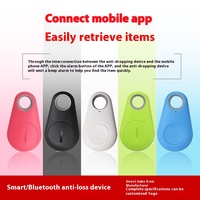 Traceur GPS 4G intelligent Bluetooth anti-perte en gros avec mini-dispositif, coque de protection en silicone, pour animaux de compagnie (chats, chiens) et porte-clés