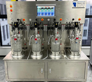 Bioréacteur à biofilm agité contrôlé par PLC Bailun, échelle de laboratoire, capacité de 3 L, pompe de fermentation automatique, moteur à roulement - Product Image 5