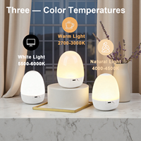 Lámpara de Noche con Forma de Huevo, 3 Colores, Regulación Continua, Control Táctil USB Tipo-C, con Memoria, para Dormitorio, Hogar y Oficina