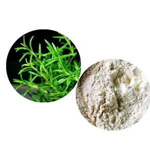 100% Rosemary Extract 30% Carnosic acid/Rosemary Extract Powder/Rosemary Powder