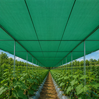 Filet d'ombrage agricole robuste en HDPE pour serres, pépinières, protection des cultures et culture de légumes