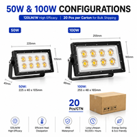 Projecteur LED paysager 50W 100W IP65 étanche à faisceau étroit de 30 degrés pour éclairage d'arbre extérieur et éclairage architectural avec RGB