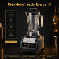 Blender commercial 1600W, robuste, professionnel, pour smoothies, avec lame en acier inoxydable 420, pot de 1,7L, pour bar, hôtel, restaurant