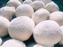 Factory Supply Lions Mane Mushroom Extract Powder