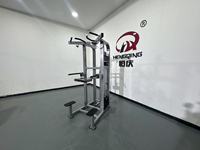 Nouvel équipement de fitness professionnel pour la musculation : Appareil d'aide aux dips et aux tractions