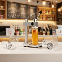 Machine de scellage manuelle portable pour la maison, scelleuse de bocaux à pression manuelle pour bouteilles en plastique PET, aluminium, soda, aliments, boissons, facile à utiliser
