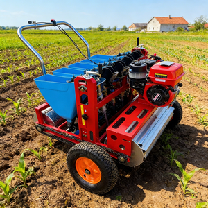 Machine à <span class=keywords><strong>semer</strong></span> l'ail manuelle à moteur essence TAIWANG pour petites exploitations agricoles |   Semoir multifonctionnel à haute productivité - Product Image 4