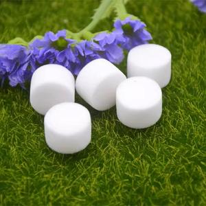 100 unidades/bolsa Tapón de esponja PVA redondo de 15mm 18mm de calibre para tubo de ensayo, bloqueador de agua para granja de hormigas - Product Image 2