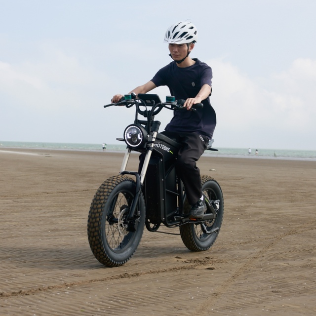 High Power E-bike 1000w Hub 60v Fat Tire Electric Bike Electric City Bike 7 Speed 20 Inch Full Suspension Fat E-bike