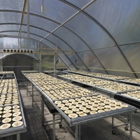 SURRI Grote Capaciteit Mango Ananas 300-500kg Zonne-aangedreven Motor Droogmachine met 1 Jaar Garantie voor Kas
