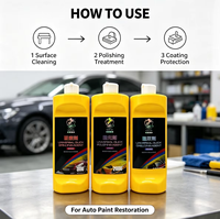 Kit de polissage et de restauration pour peinture automobile : Correction des rayures, élimination de l'oxydation, renouvellement de la brillance – Formule de detailing automobile