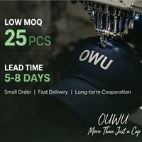 Casquette de baseball promotionnelle avec logo personnalisé, 6 panneaux, visière incurvée, 100% coton, cadeau d'entreprise, fournisseur OEM