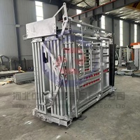 Chute d'encastrement robuste galvanisée pour bovins avec balance intégrée pour élevages