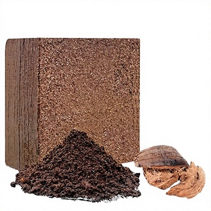 Bloc de tourbe de coco biologique pour la croissance des légumes, écologique, riche en nutriments, brun, sec, résistant aux parasites et aux maladies - Product Image 1