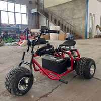 Kart Eléctrico de Tres Ruedas Directo de Fábrica, Batería de Litio de Larga Duración, Neumáticos Anchos, Kart Eléctrico Recreativo Todoterreno