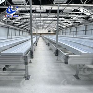 <span class=keywords><strong>Plateau</strong></span> <span class=keywords><strong>rigide</strong></span> en ABS renforcé pour système d'irrigation par flux et reflux, idéal pour la culture sur table roulante en usine horticole - Product Image 1