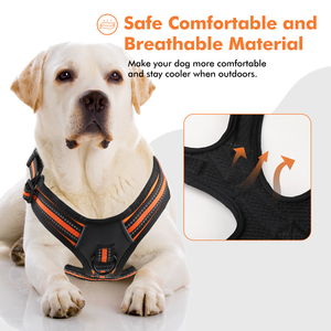 कस्टम गंध आसान नियंत्रण पिल्ला चलना प्रशिक्षण ग्रेहाउंड हार्वे बचाव सबूत पालतू पट्टा नए डिजाइन बकल उपलब्ध ग्रेहाउंड - Product Image 3