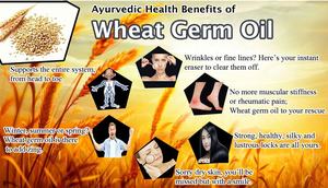 ISO認証工場製 天然オーガニック ビタミンE 小麦胚芽油 - Product Image 6