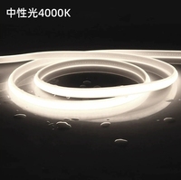 Bande lumineuse LED néon flexible personnalisée U0610 IP68 de différentes couleurs pour l'application de paysage de plafond intérieur en silicone intégré