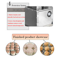 Machine à siomay automatique Fuxin, petite taille, 30 pièces/min |   Machine à raviolis et dim sum motorisée de table pour le marché d'Indonésie et des Philippines, certifiée CE