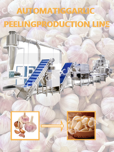 Công nghiệp hoàn toàn tự động tỏi lột Máy tỏi chế biến dây chuyền sản xuất - Product Image 6