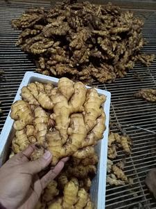 Chất Lượng Cao Tươi Ngay Lập Tức Gừng Từ Trung Quốc Siêu Khỏe Mạnh Tươi Vàng Gừng - Product Image 6